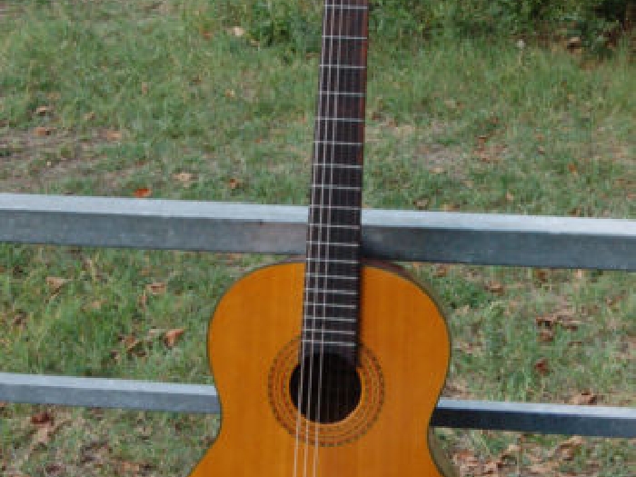 egmond acoustic guitar 67